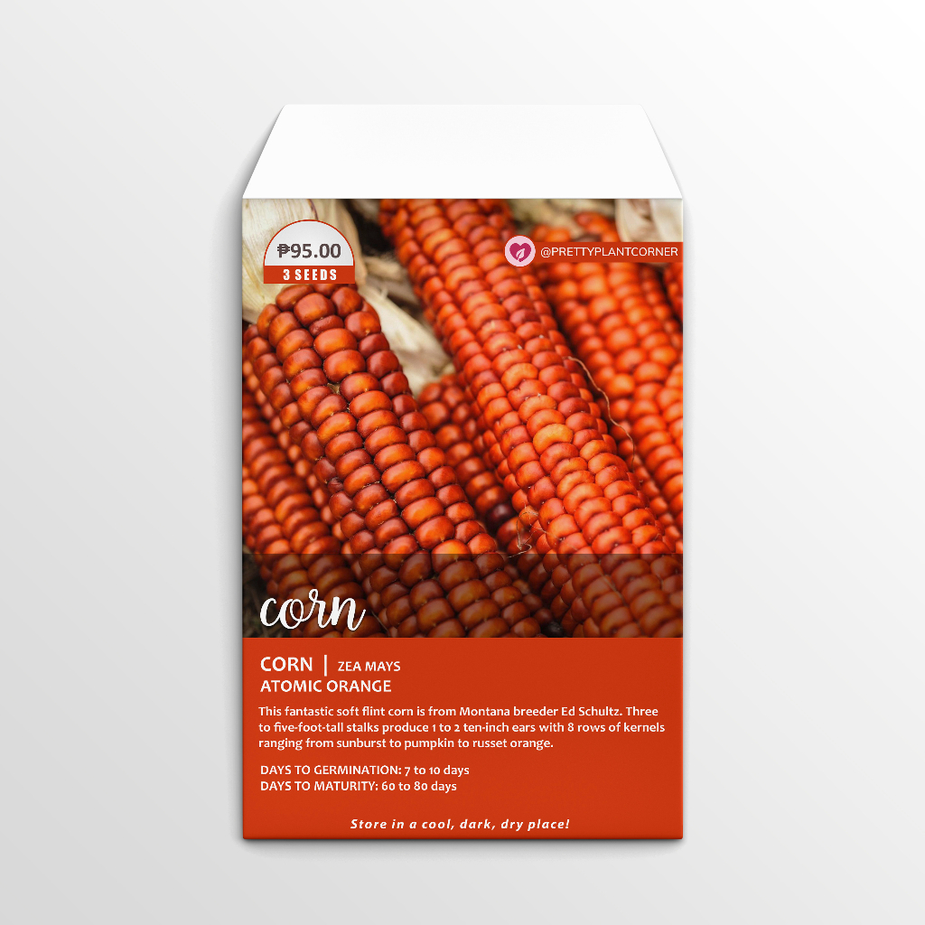 Atomic Orange Corn Seeds | Shopee Philippines