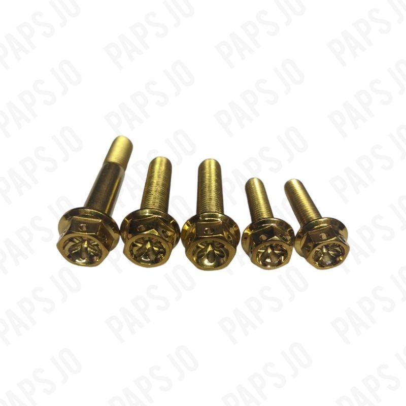 HENG FLOWER TYPE SWING ARM/PIPE BOLT MIO SOULTY Shopee Philippines