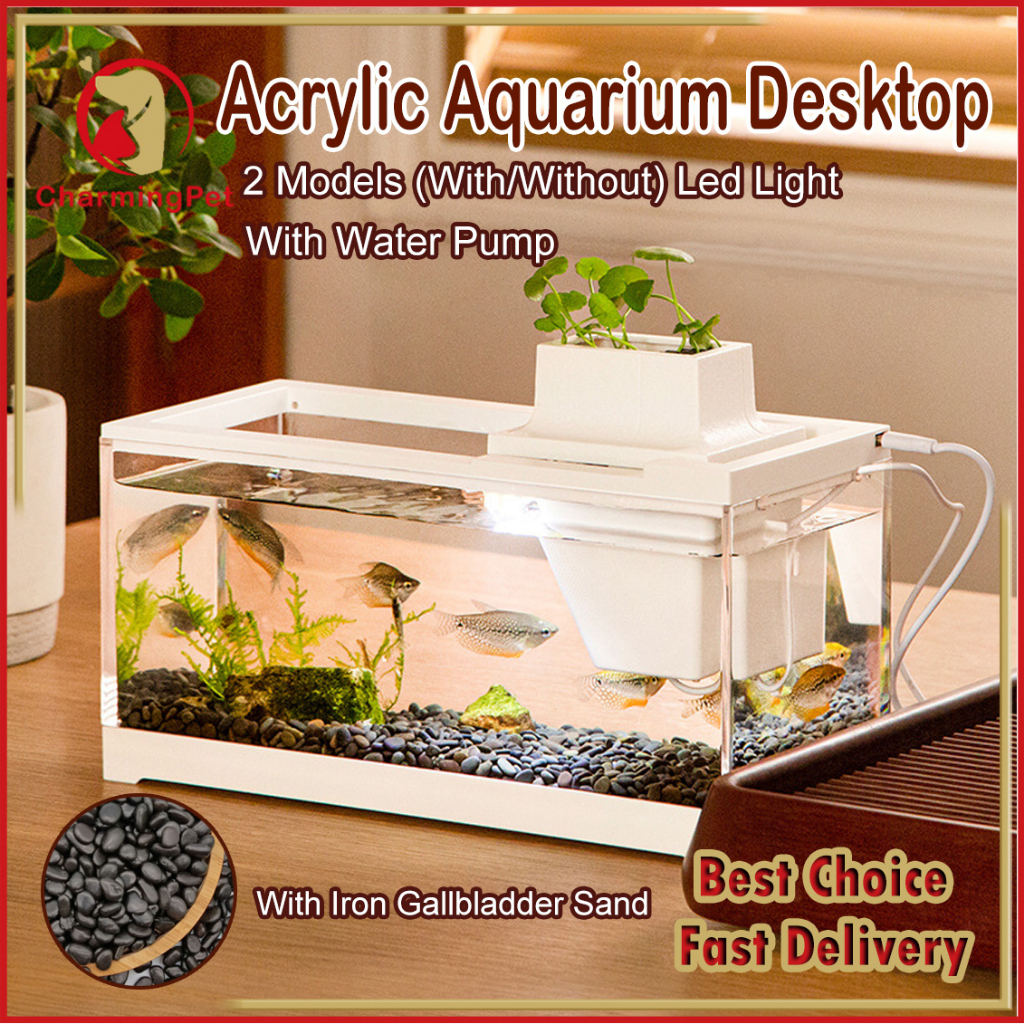 Fish Tank Desktop, 1.55 Gallon Acrylic Aquarium with Air Pump LED Light ...