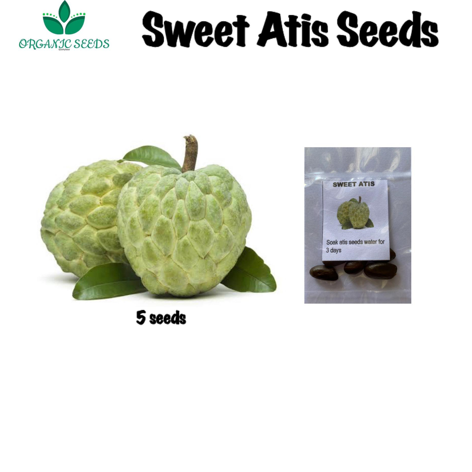 Sweet Atis / high yield - (5pcs Seeds) | Shopee Philippines