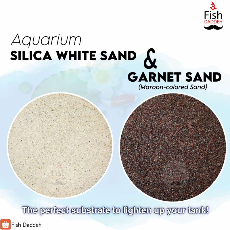 Silica Aquarium White Sand Sand 1kg Shopee Philippines