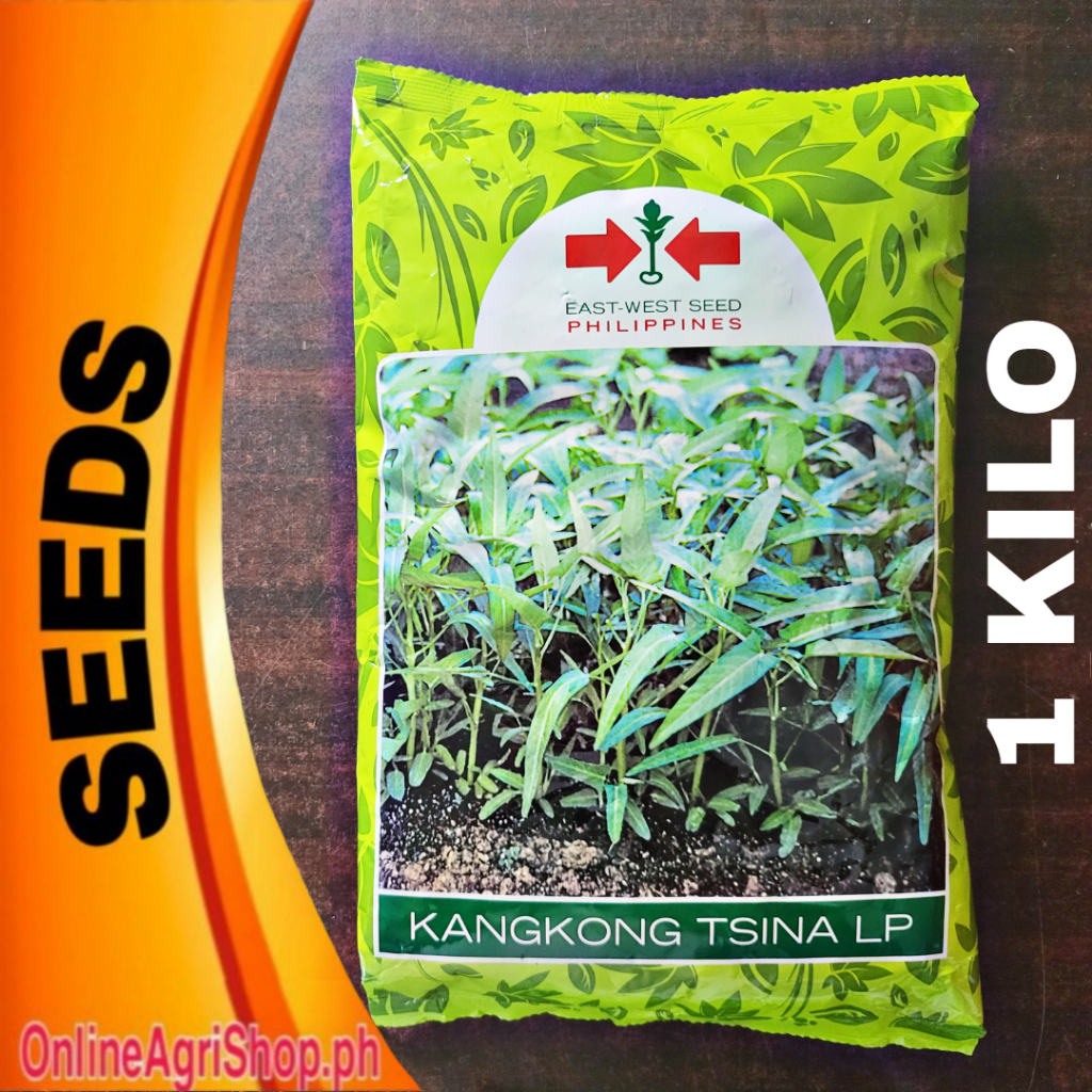 TSINA LP (1 KILO) KANGKONG SEEDS EAST WEST SEEDS | Shopee Philippines