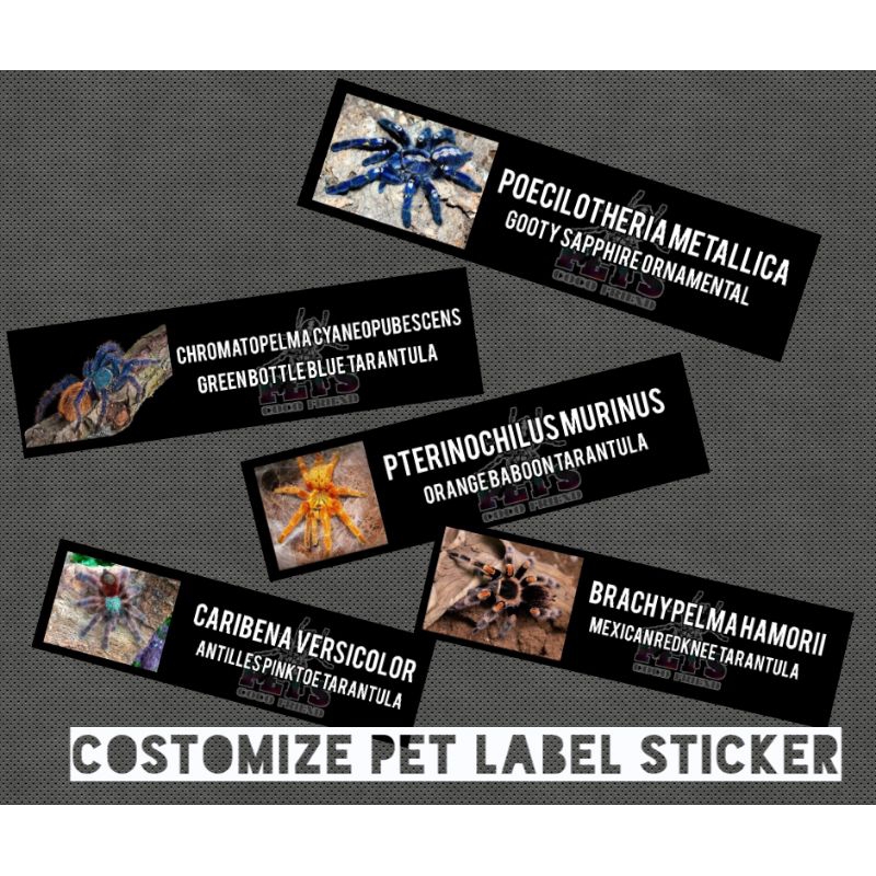 Pet label sticker 12 pcs | Shopee Philippines