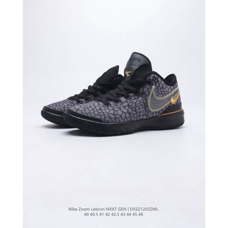 Lebron NXXT Gen Lebron Next Gen Topgrade quality OEM shoes Shopee Philippines