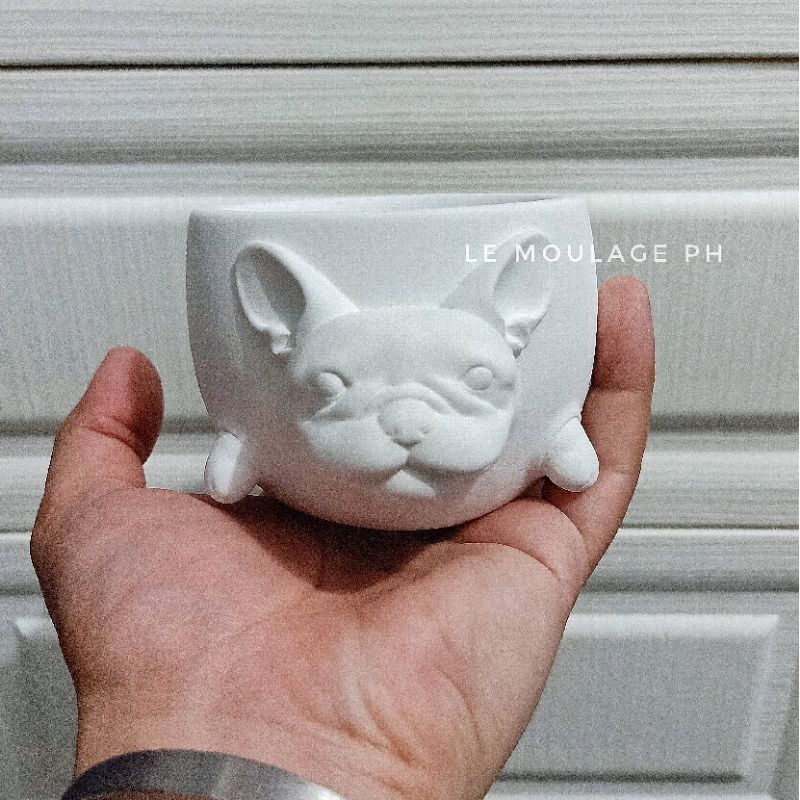 Frenchie pot (Ideal for small sized Cactus/Succulent) | Shopee Philippines