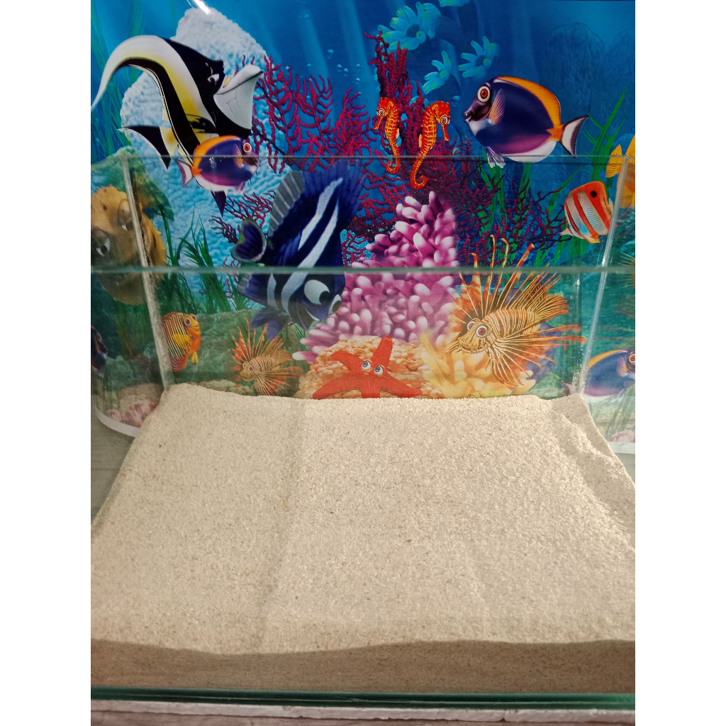 Curated visual reference: Gallery Detail: Beach Sand For Aquarium And Decor