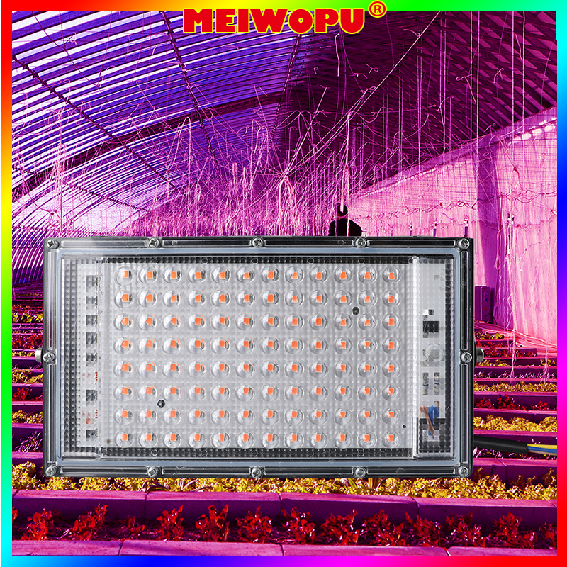 plant light - Best Prices and Online Promos - Oct 2026 | Shopee Philippines