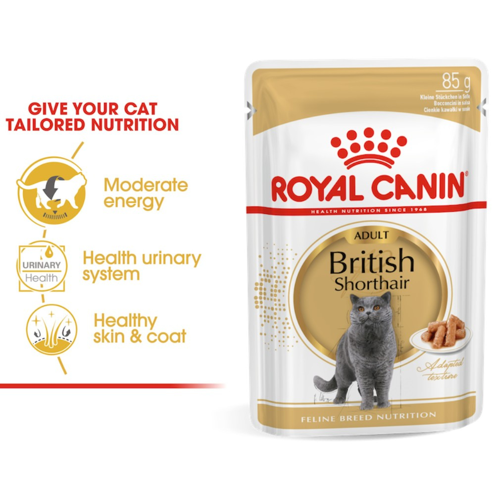Royal Canin Wet Cat Food Box, 12 pouches Intense Beauty/Urinary