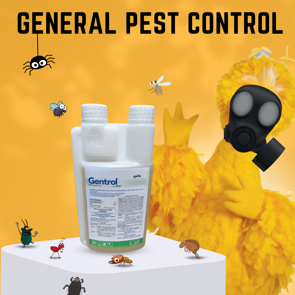 How Does Gentrol Control Cockroaches? – LWLWY