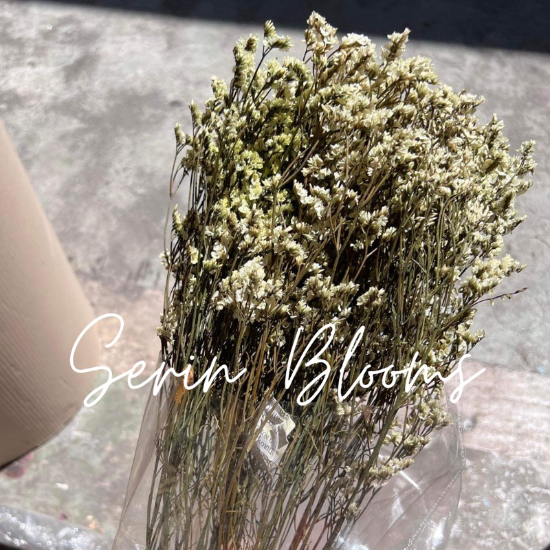 Caspia Real Dried Preserved Flowers | Shopee Philippines