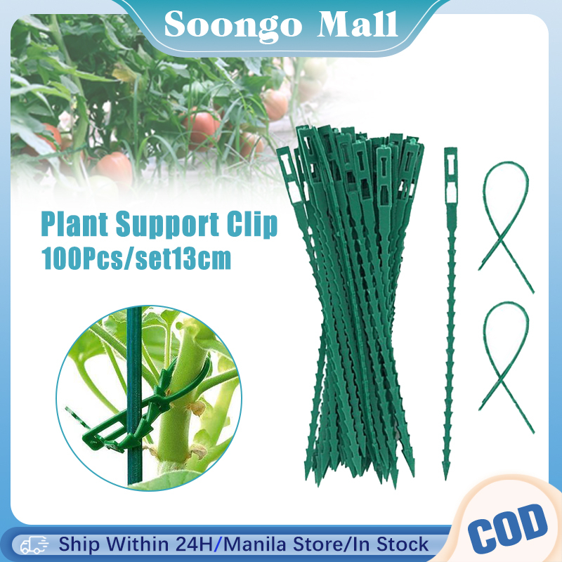 100PCS Reusable Plant Cable Ties Plant Fishbone Clip Flexible Ties ...