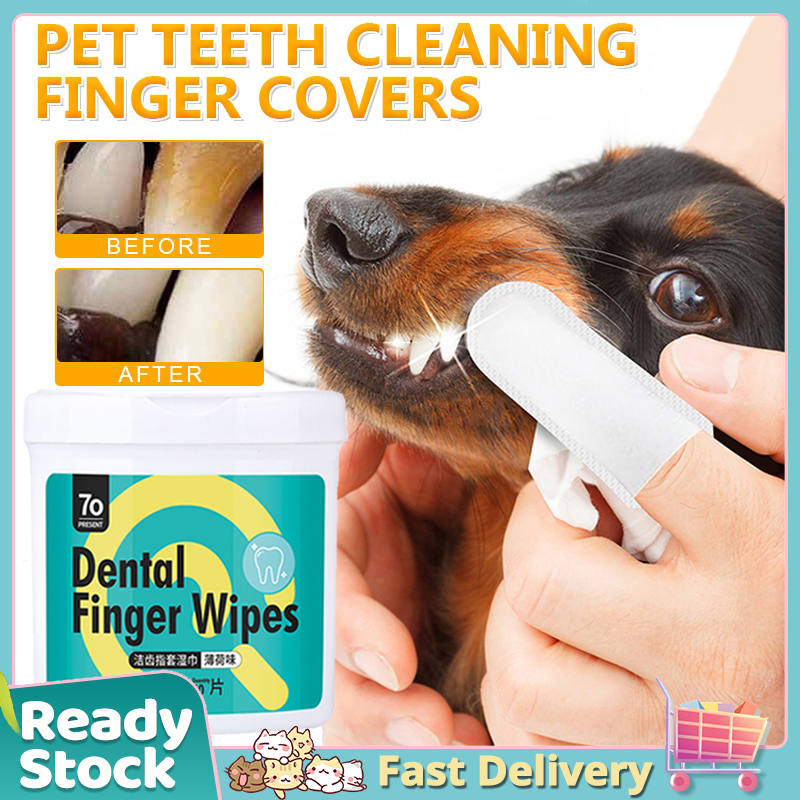 PETS STORY 50 Pcs Pet Dental Finger Wipes Dog Toothbrush and Toothpaste