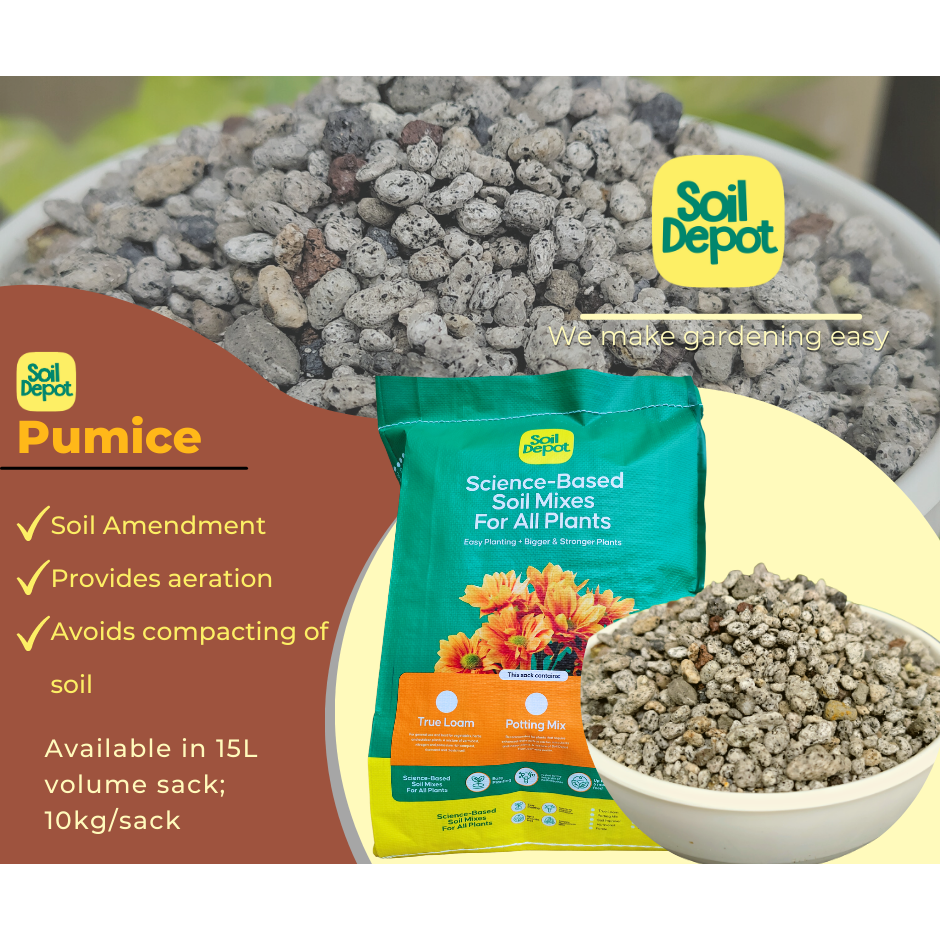 Pumice Soil Depot Shopee Philippines