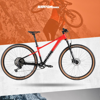 pinewood mtb 29er