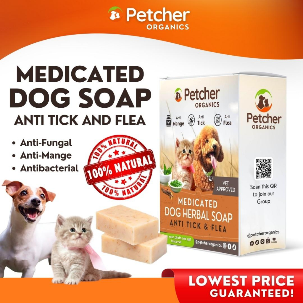 Dog soap outlet price