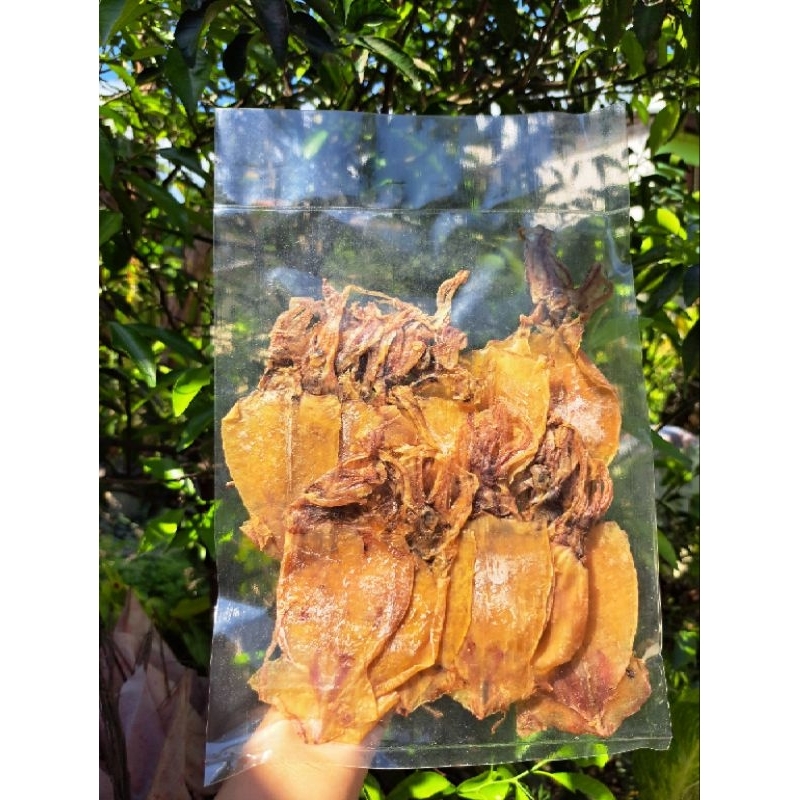 Dried pusit/nokus (100 grams) Shopee Philippines