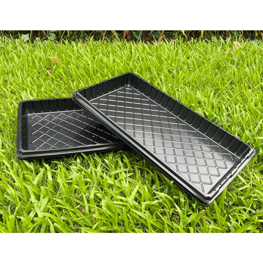 FAMILIFE 3/6/12 pcs Rectangular PVC Seedling Tray with Hole and Without ...