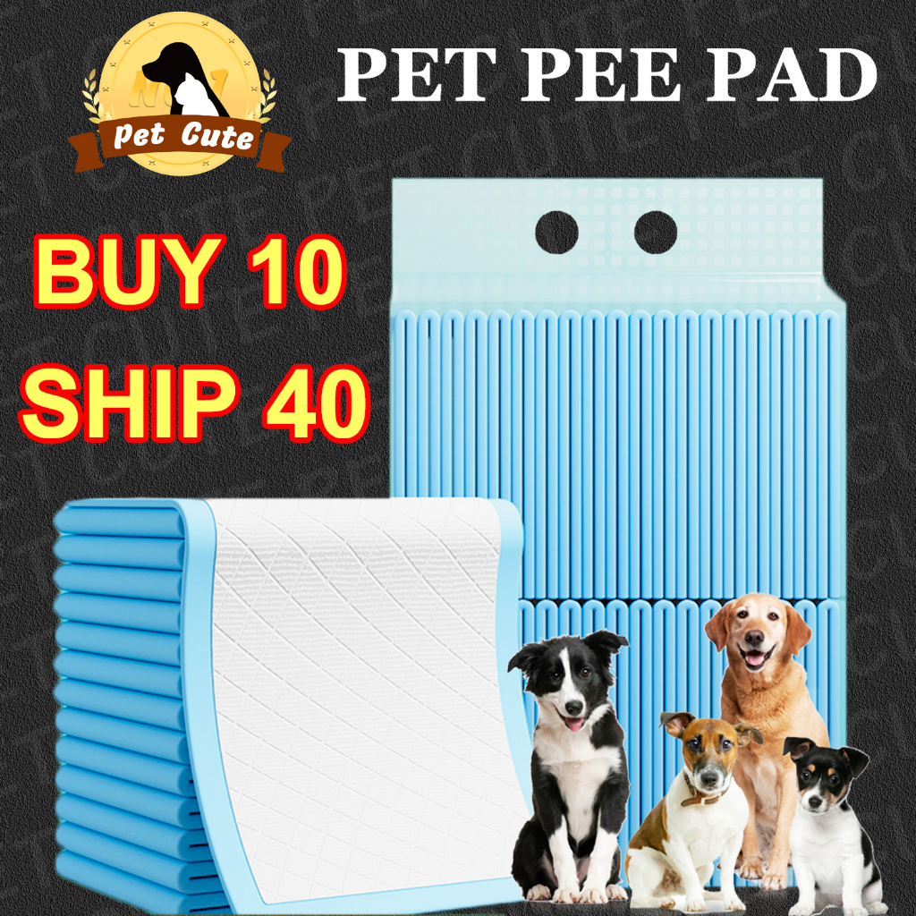 Pet Pee Pad Buy 1 Ship 4 Dog Pee Training Pad Cat Pee Pad Pet Wee Pee