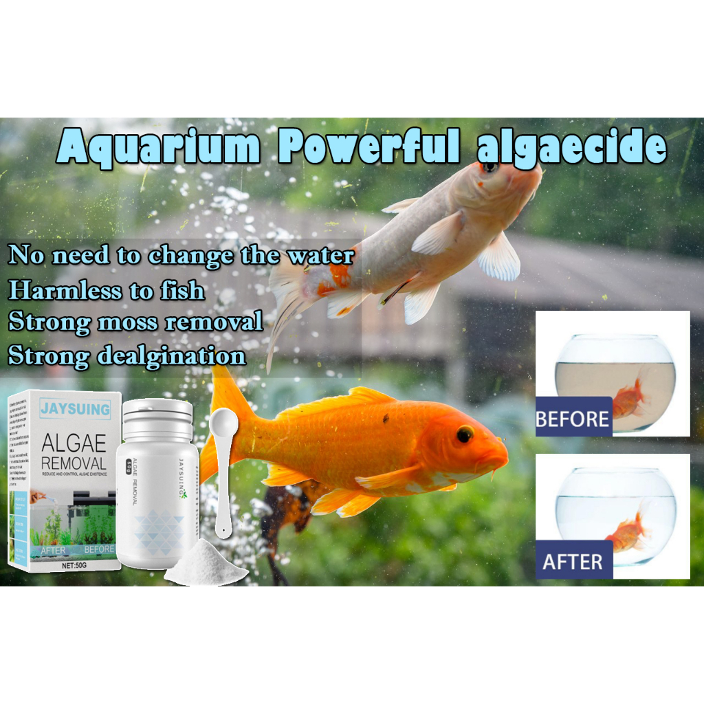 500ML Algaecide Aquarium Cleaner Algae Control Fish Tank Moss Remover