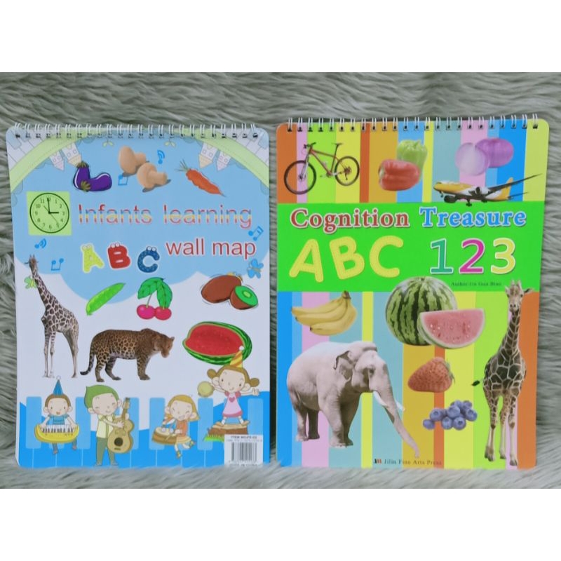 Cognition Treasure & infant Learning wall map | Shopee Philippines