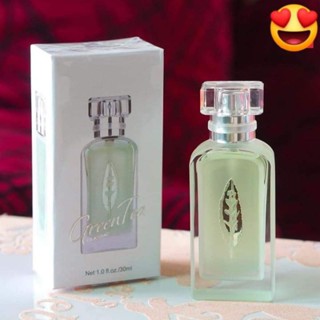 Miniso green discount tea perfume price