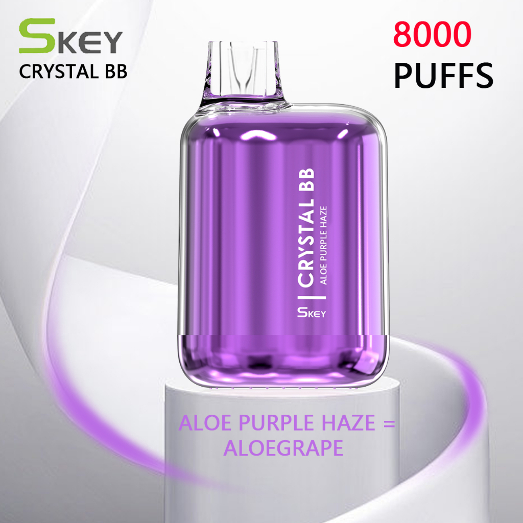 24H Stock Skey 8K Puffs COD Selfie Lights Shopee Philippines