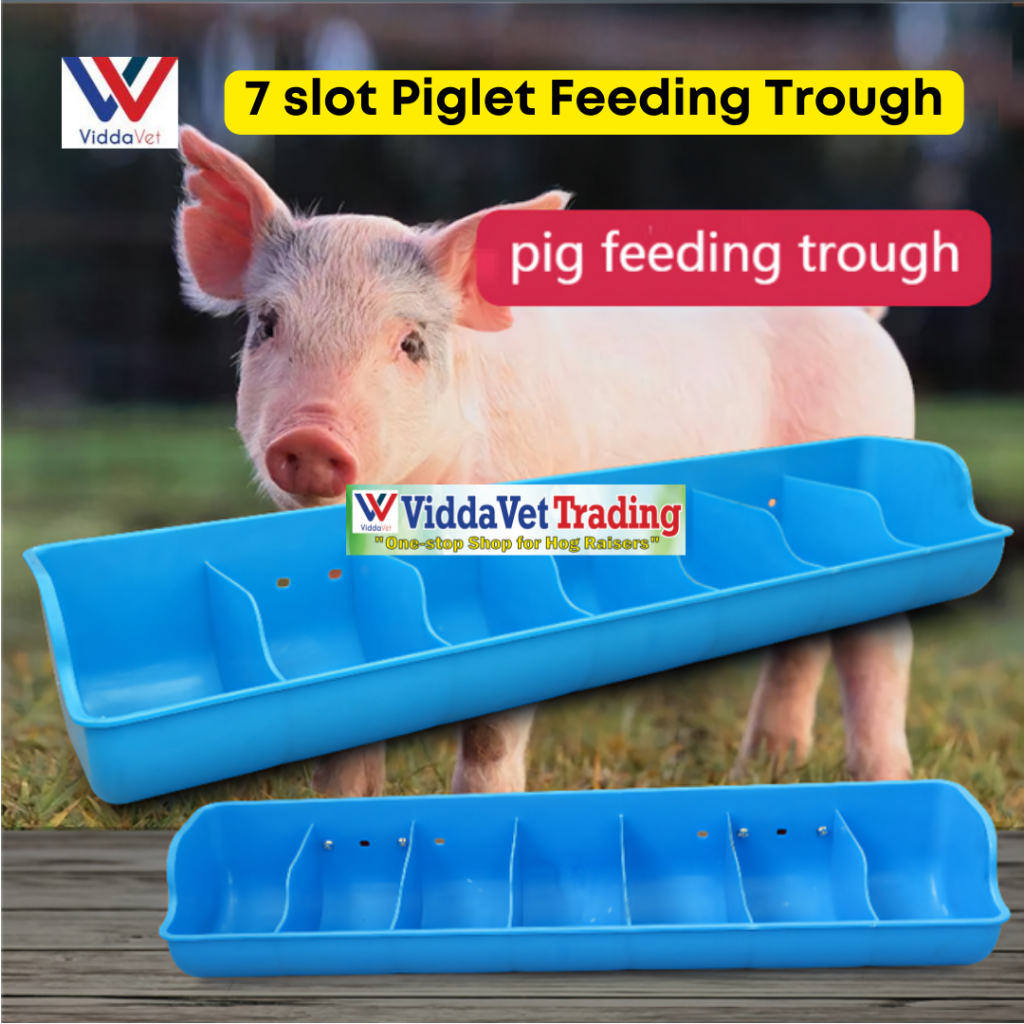 Pig on sale automatic feeder