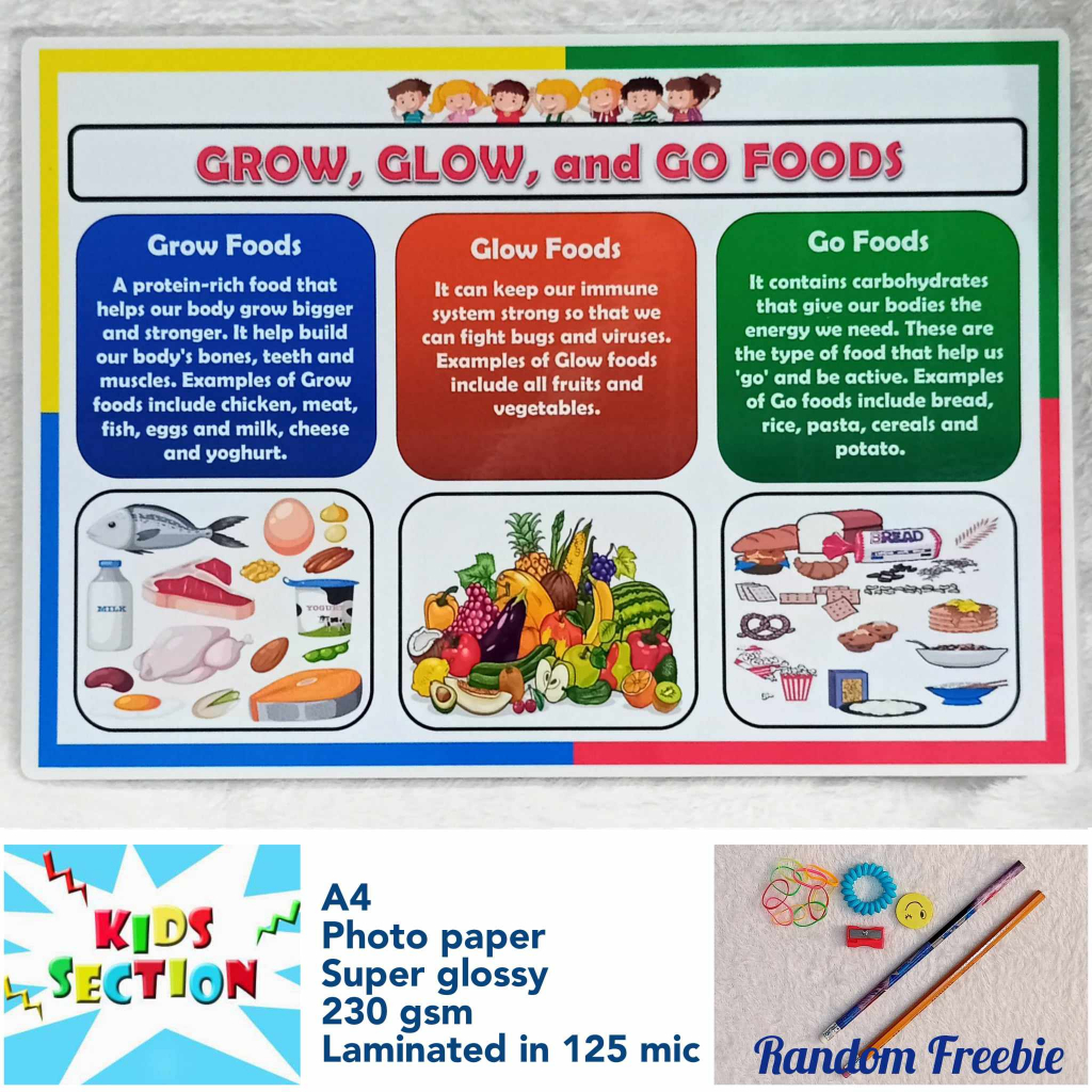 Laminated Educational Chart - Grow, Glow and Go Foods | Shopee Philippines