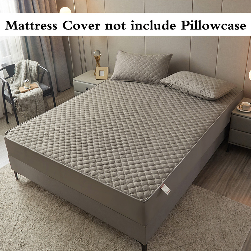 Sheleep Cotton Bed Sheet Fully Garterized Seamless allinone Bedsheet