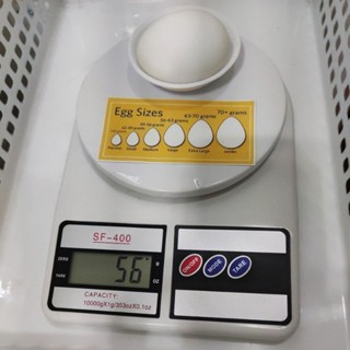 Shop egg scale for Sale on Shopee Philippines