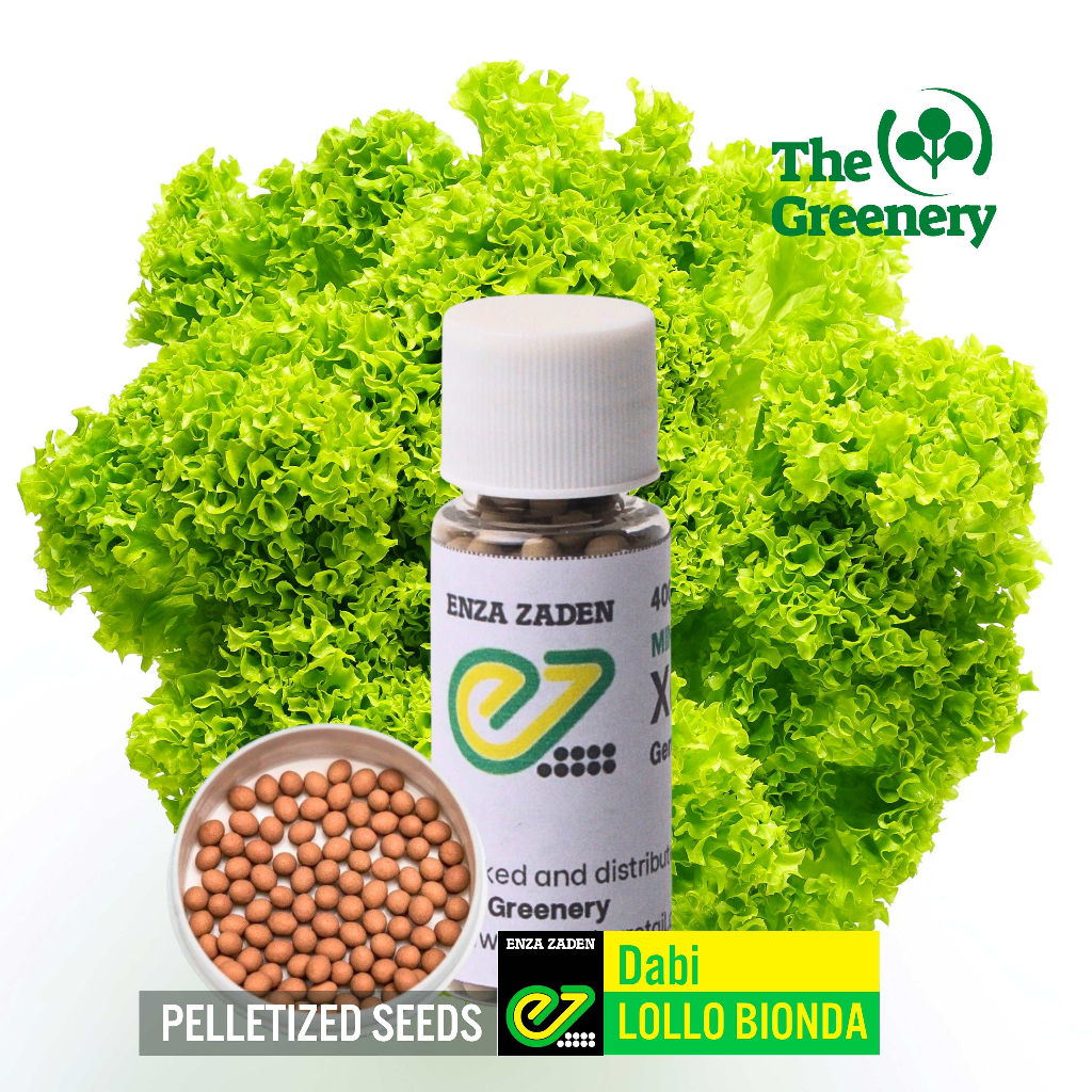 Enza Zaden Dabi Classic Lollo Bionda Pelletized Lettuce Seeds 50 200 Pills Shopee Philippines 0916