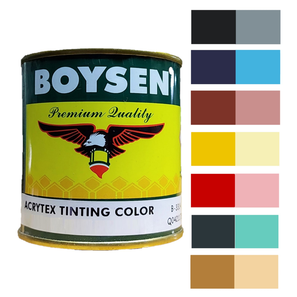 Boysen Acrytex Tinting Color Paint (Available in Different Colors) 1