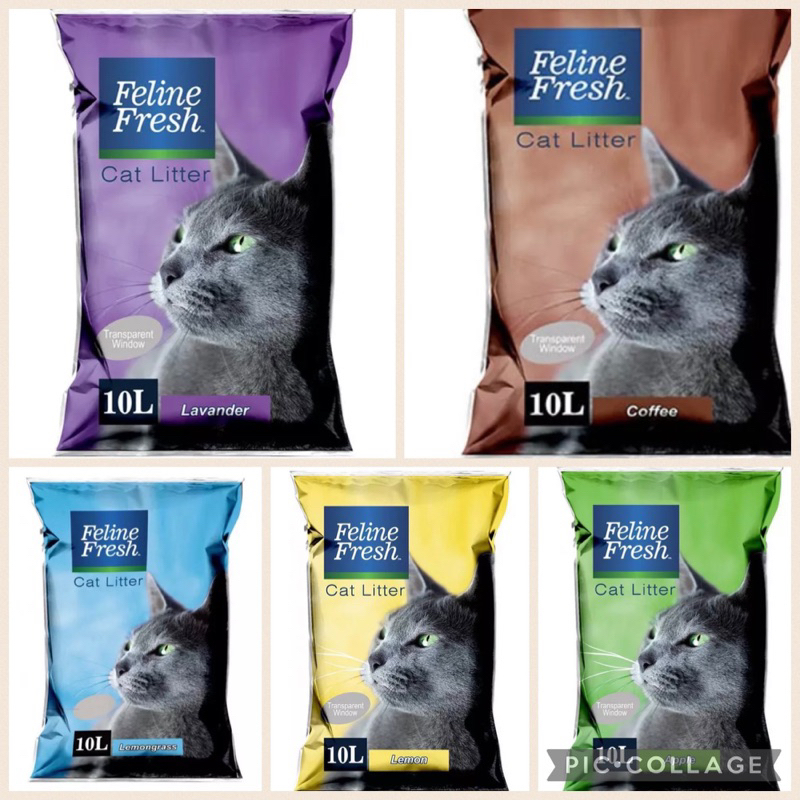 Feline Fresh Cat Litter Sand (10L) Shopee Philippines