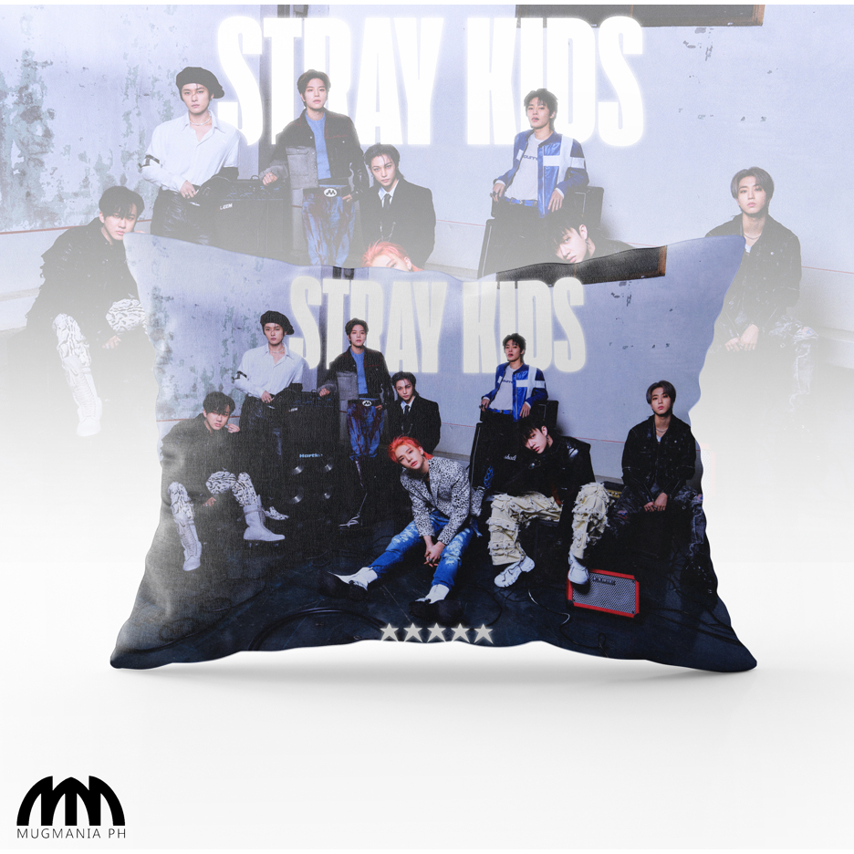 Stray Kids All Member Merch - Small, Medium, Large - Stray Kids Pillows ...