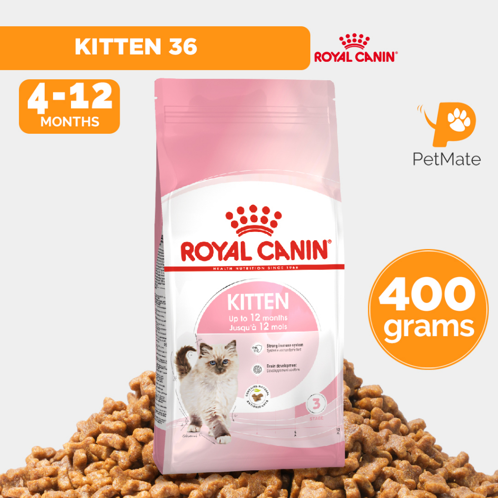 Royal Canin FHN Kitten 36 Dry Food 400g | Shopee Philippines