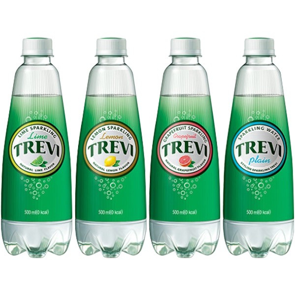 TREVI SPARKLING WATER (PLAIN, LIME, LEMON, GRAPEFRUIT) 500ML Shopee Philippines