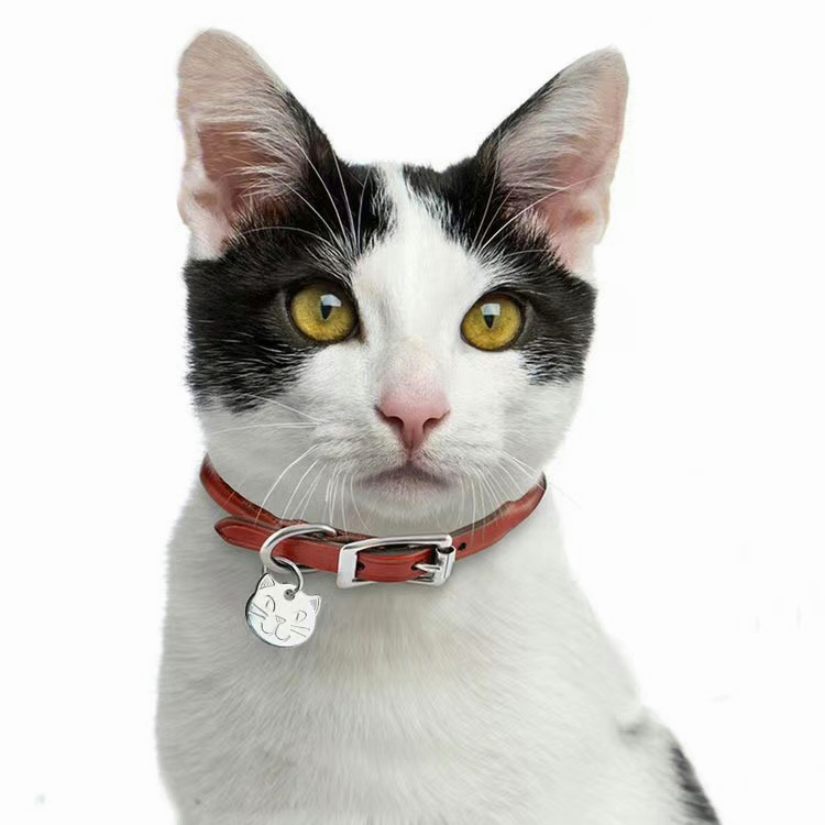 Laser engraving pet ID cat anti-lost card personalized label | Shopee ...
