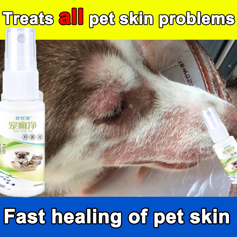 Pet Skin Spray Removes cat Moss Removes mites lice Cats and dogs Pet ...