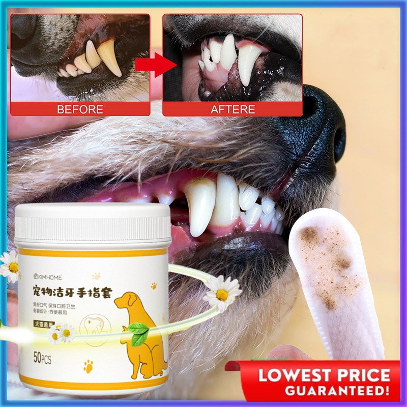 Pet Finger Wipes Dental Care Dog Cat Teeth Universal Pet Toothbrush