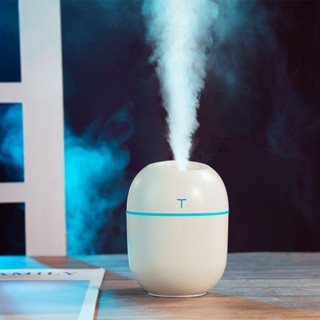 Humidifier shopee best sale