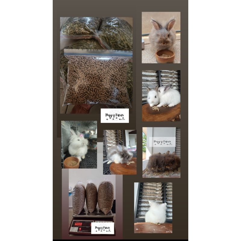 Pellets for rabbits / Rabbit Food | Shopee Philippines