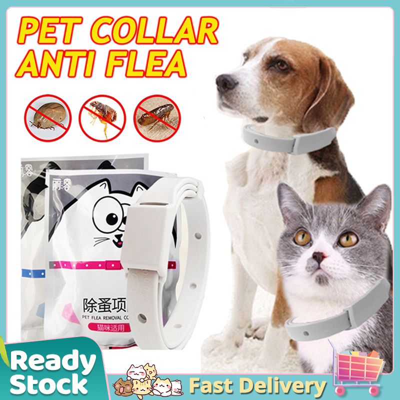 Pets Anti Tick Collar Flea And Tick Dog Cat Collar Adjustable Insect
