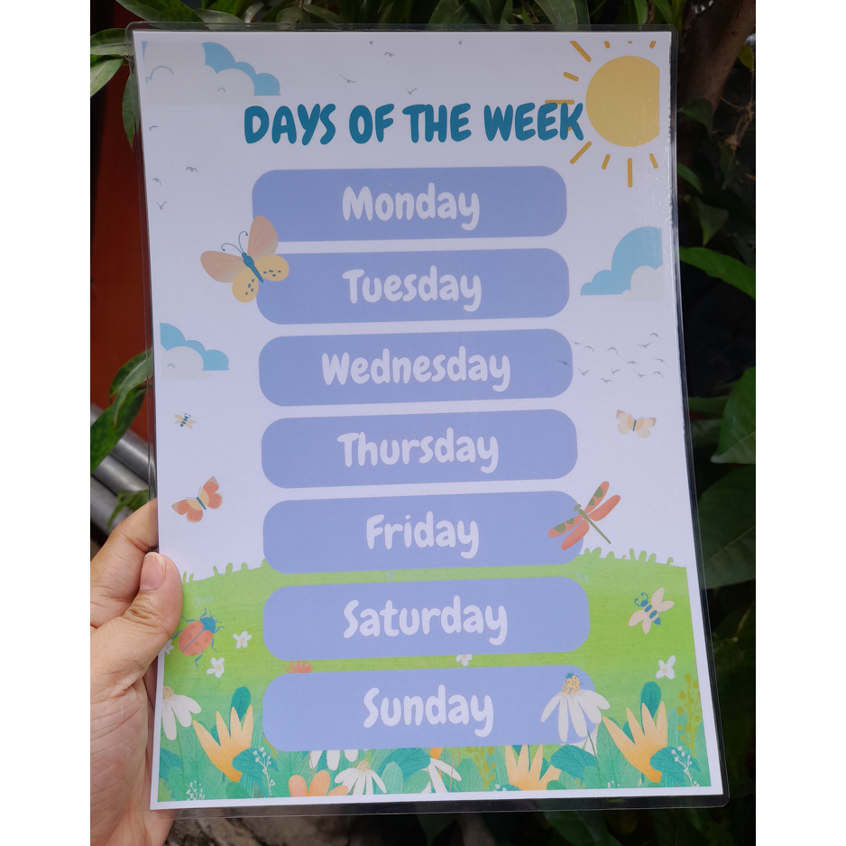 Learning Materials and Educational Charts For Kids - Laminated ...