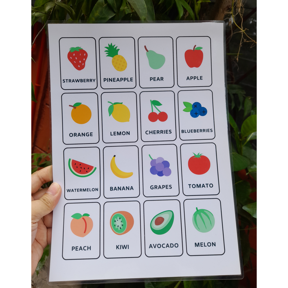 Learning Materials and Educational Charts For Kids - Laminated ...