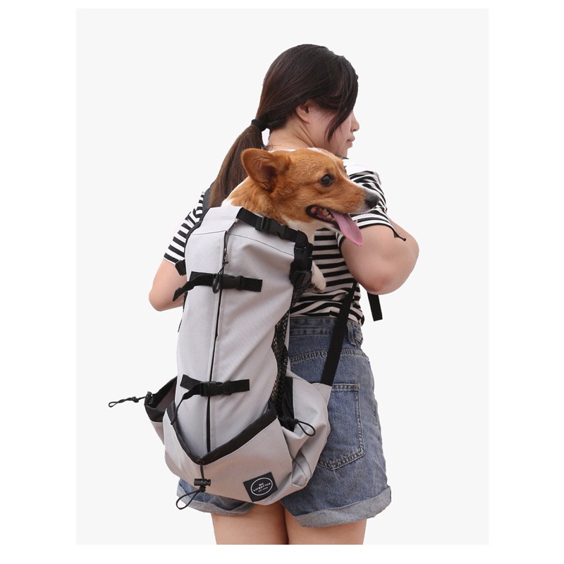 Dog outdoor backpack for medium dog | Shopee Philippines