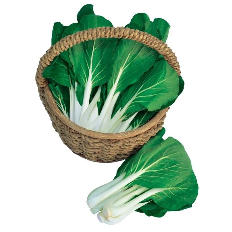 BLACK BEHI PECHAY SEEDS FOR PLANTING 50 SEEDS | Shopee Philippines