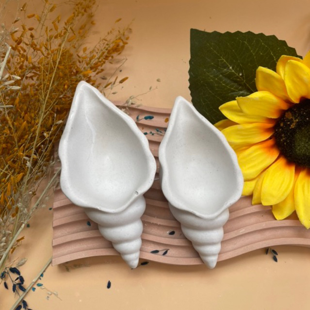 Pointed conch shell pot, jewelry organizer or desk organizer | Shopee ...