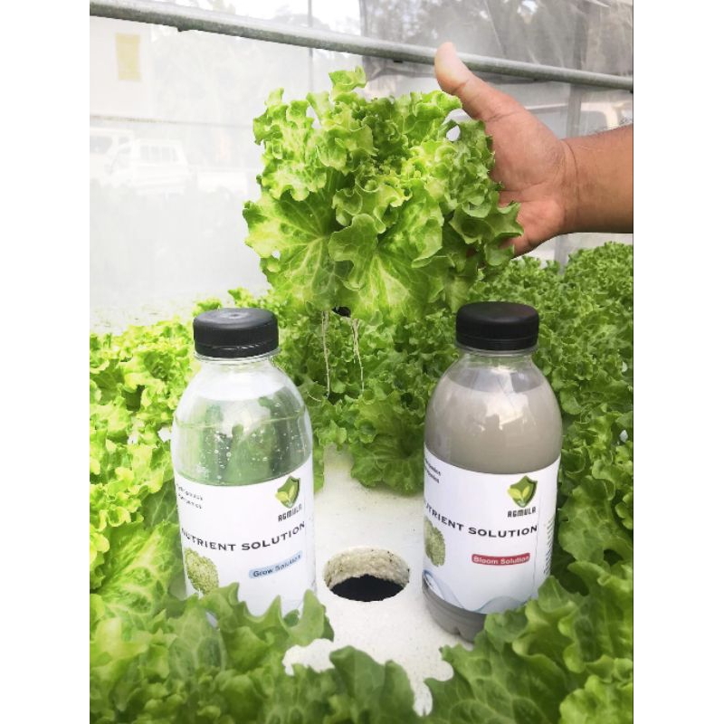 Nutrient Solution for Hydroponics and Aeroponics (500 ml) Shopee