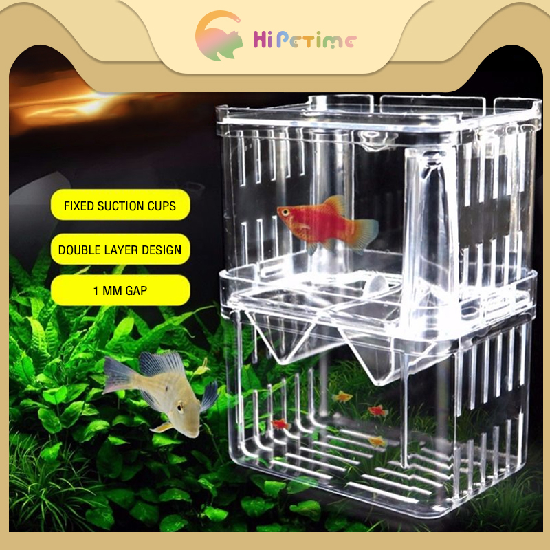 Isolation Box for Aquariums Isolation incubator Hatching box Acrylic ...