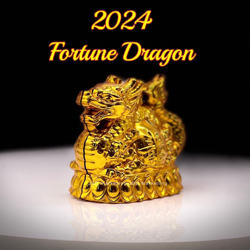 2024 Year of the Dragon Feng Shui Lucky Charms Good for Fortune for New